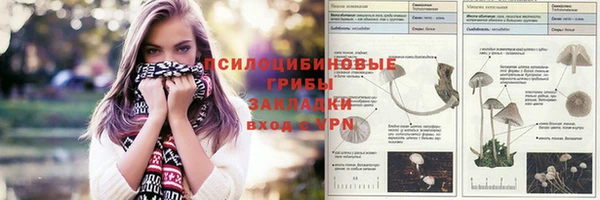 не бодяженный Гусиноозёрск
