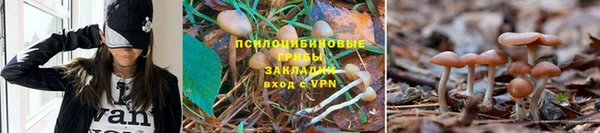 стаф Гусь-Хрустальный