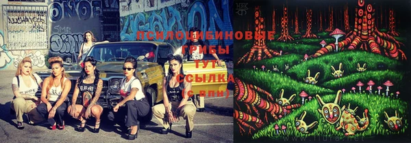прущий лед Дмитровск