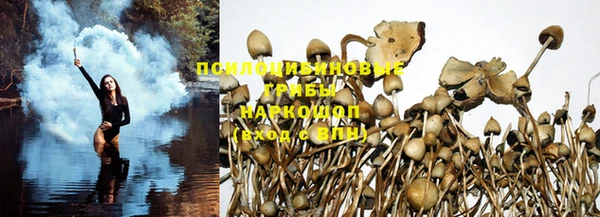 mdpv Гусев